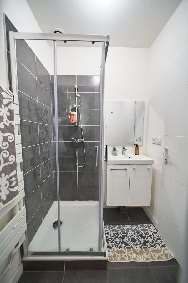 Studio Cosy Valmy- Vaise- Center Of ליון מראה חיצוני תמונה
